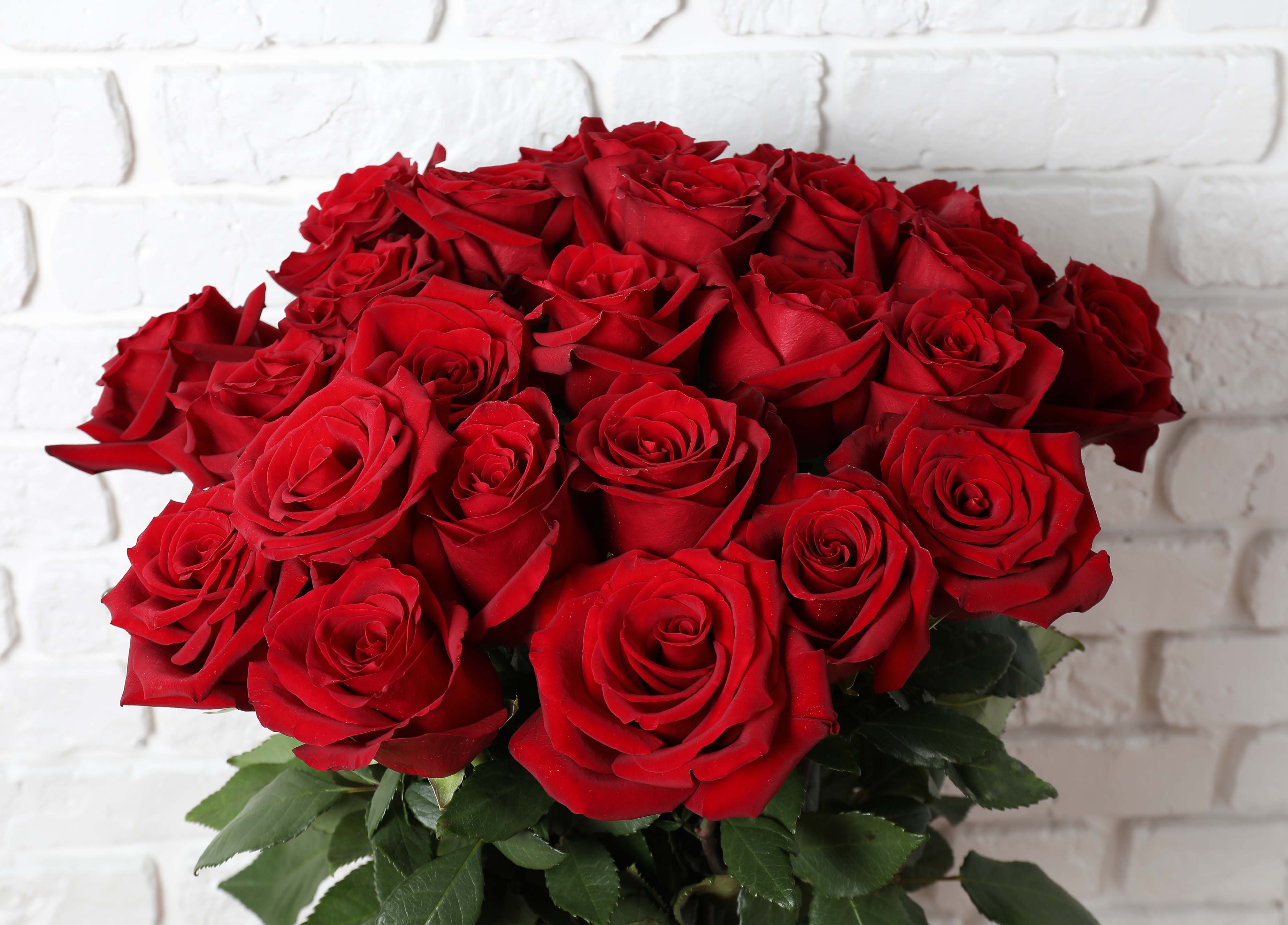 Red Rose Bouquet