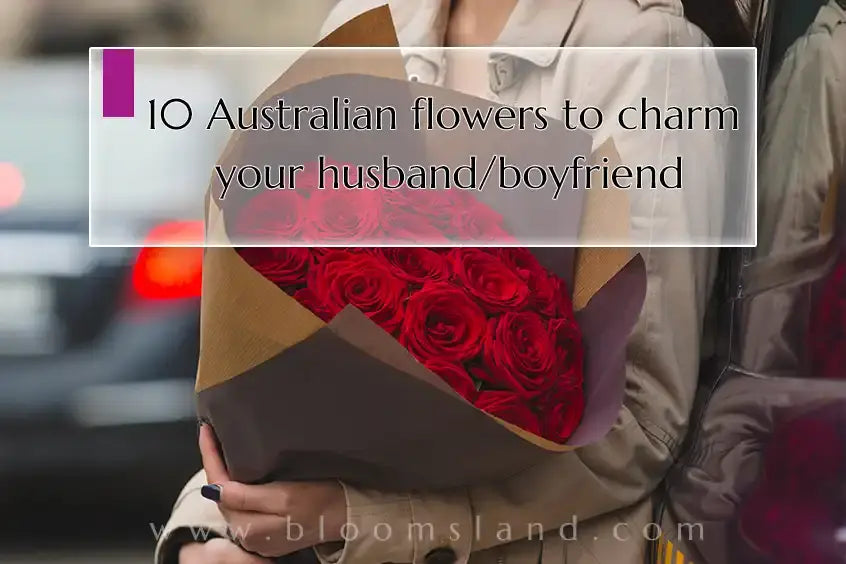 10_Australian_flowers_to_charm_your_boyfriend