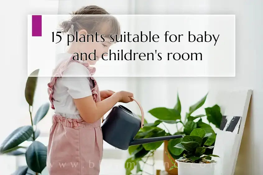 baby room plants