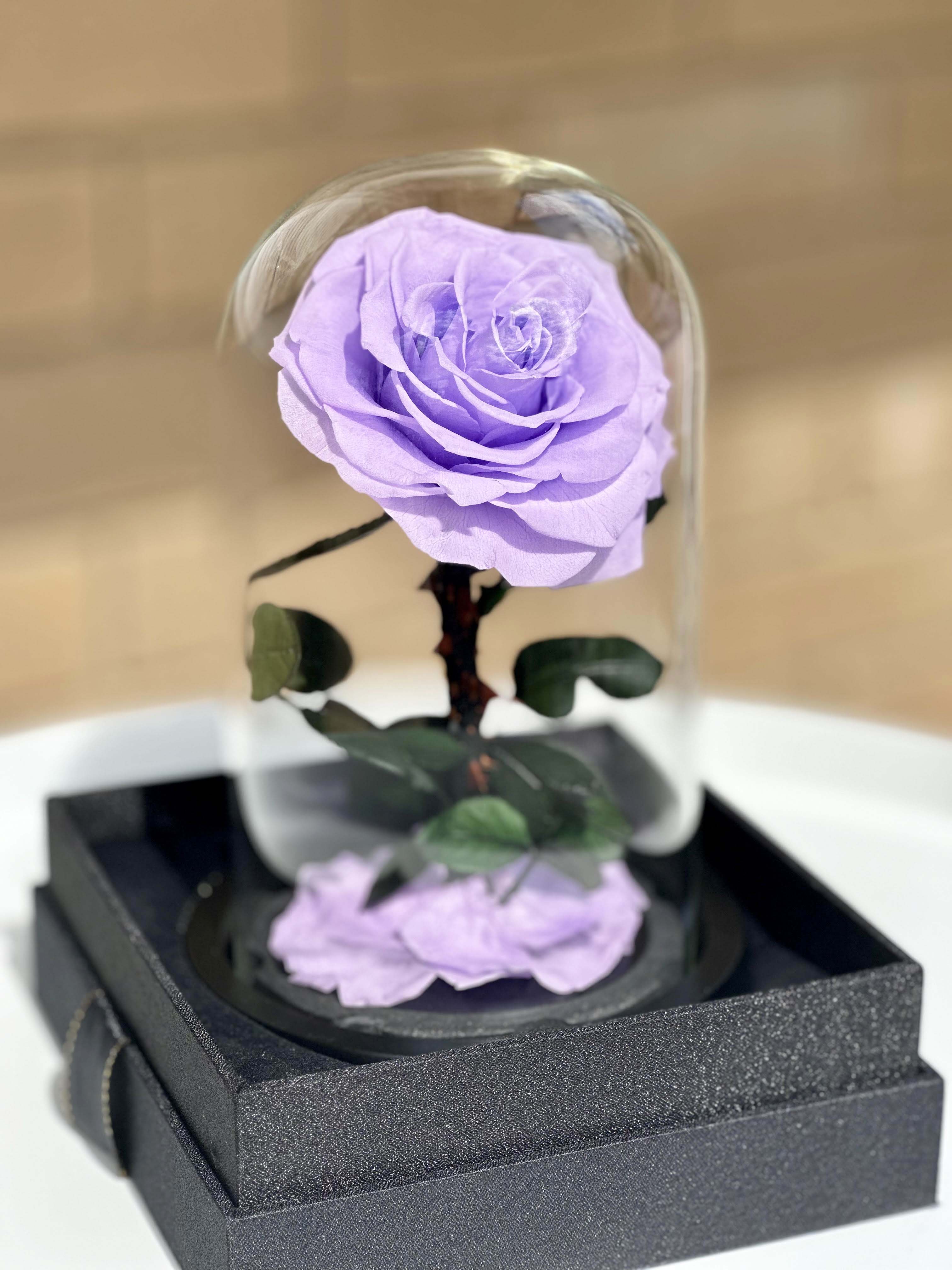 Ever Rose