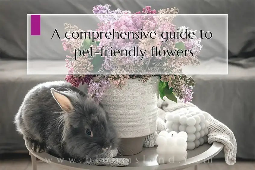 Pet-Friendly_Flowers