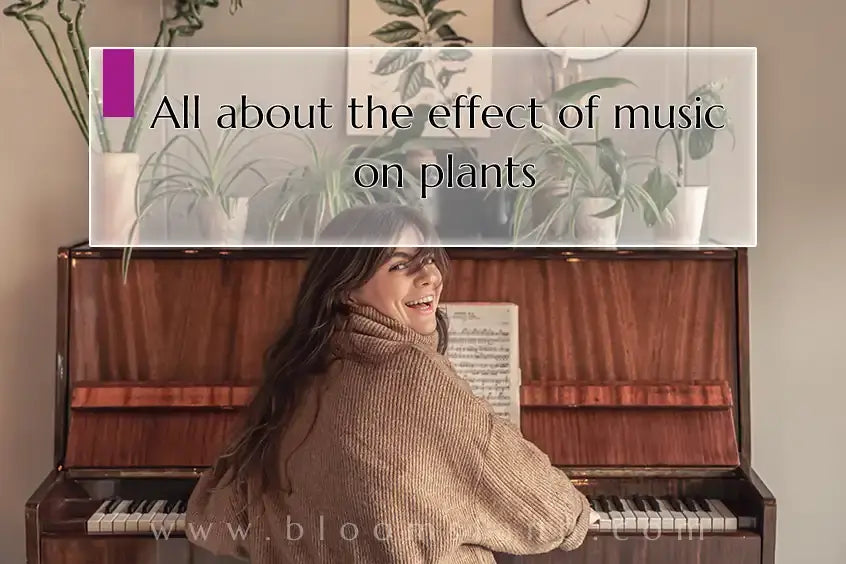 plants-and-music